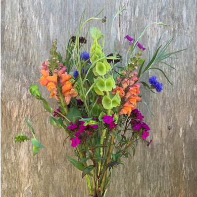 [SUFFOLK] Seasonal Flower Subscription: Pickup every 2 weeks on Sundays at Westminster Reformed Presbyterian Church
